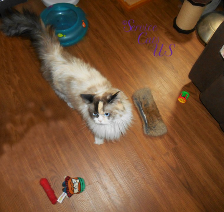 Raena stands in the floor