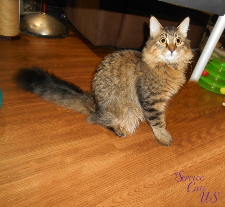 Zebby sits profile and full face