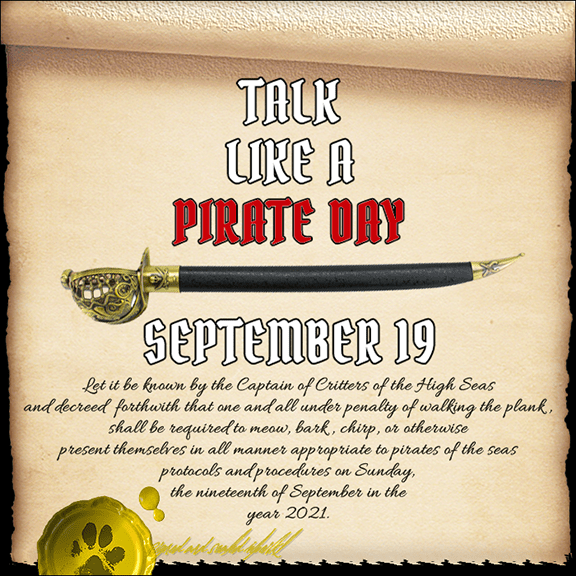 Talk like a pirate day graphic