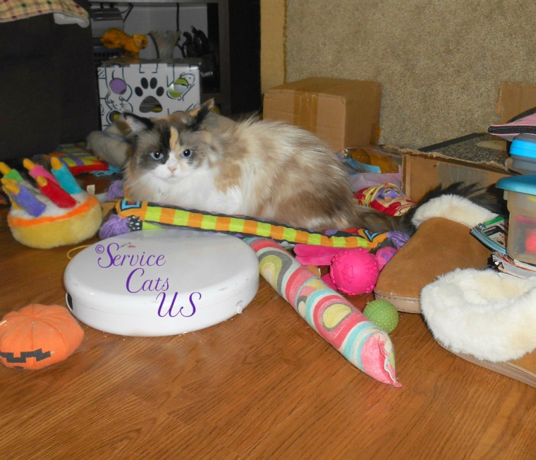 Raena lays on the boogie mat