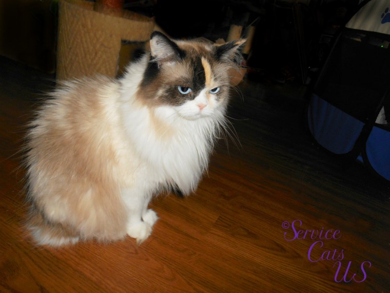 Raena sits profile full face