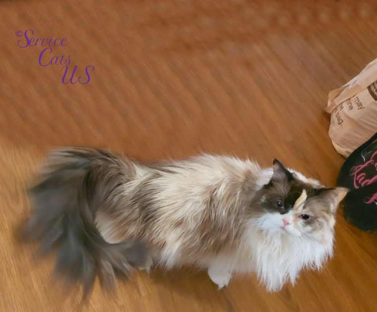 Raena stands pretty in floow looking up