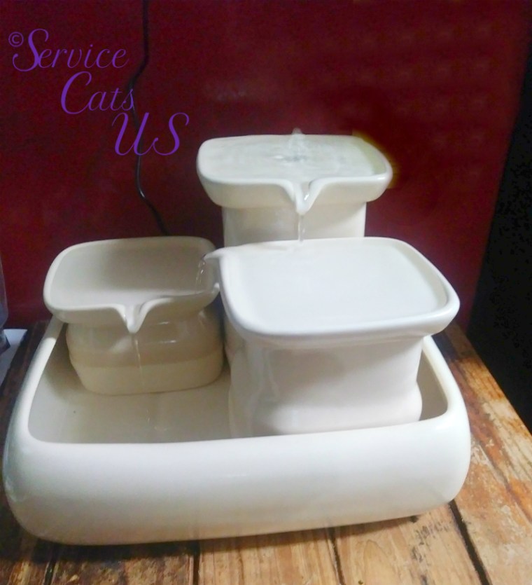 Running Miaustore Cat Fountain