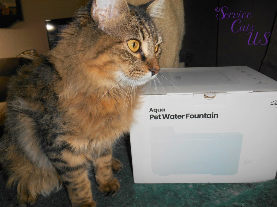 Zebby stands by Laika Pet fountain