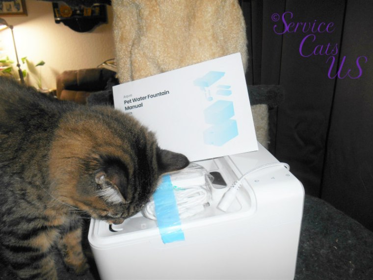 Zebby inspects the Laika pet fountain