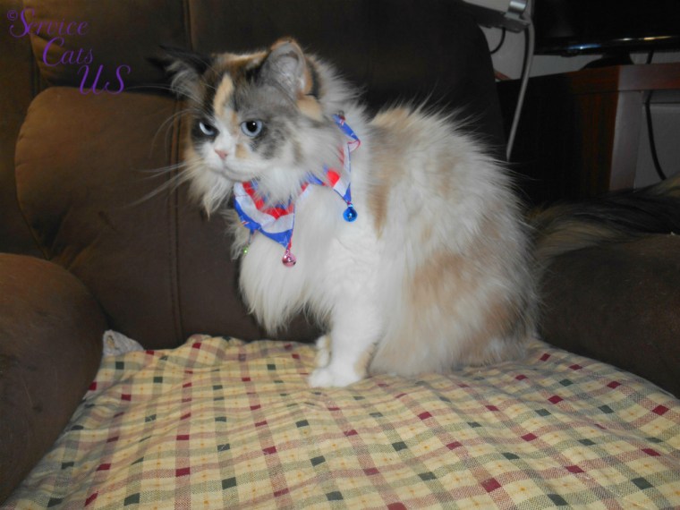 Raena sits in chair in bandana