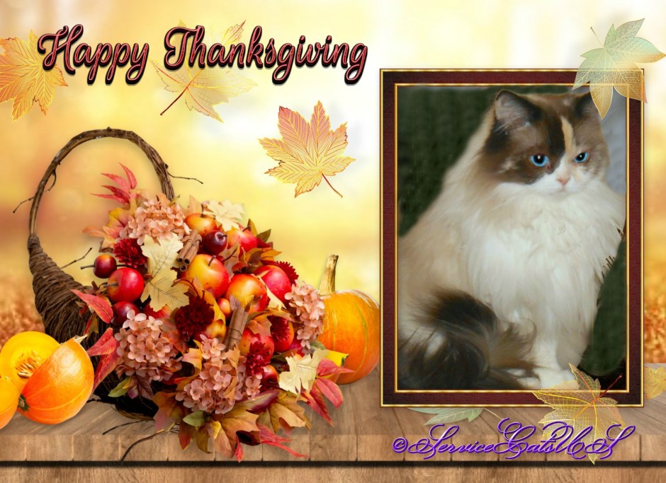 Raena in Thanksgiving frame 2021