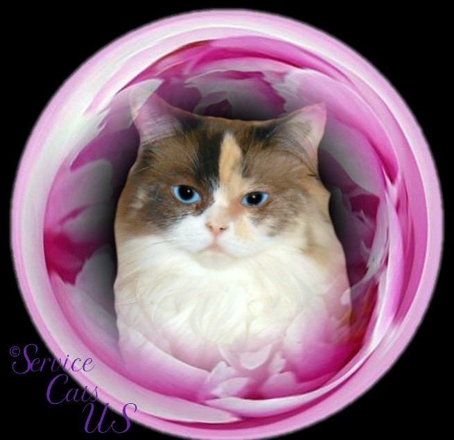 Raena selfie in rose frame