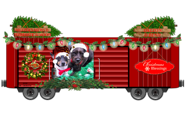 Dalton and Benji 2021 boxcar