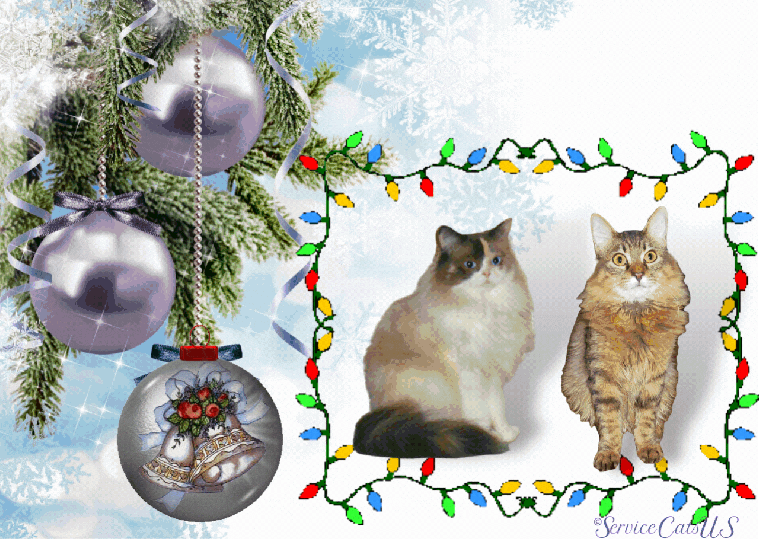 Raena and Zebby 2021 Christmas card