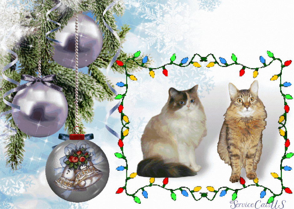 Raena and Zebby 2021 Christmas card