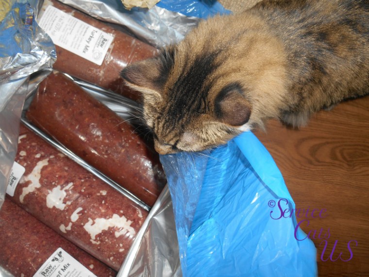 Zebby checks out raw food delivery