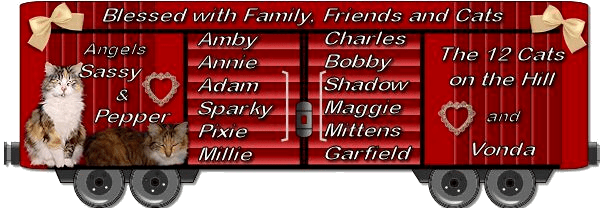 Vonda and the 12 Cats on the Hill