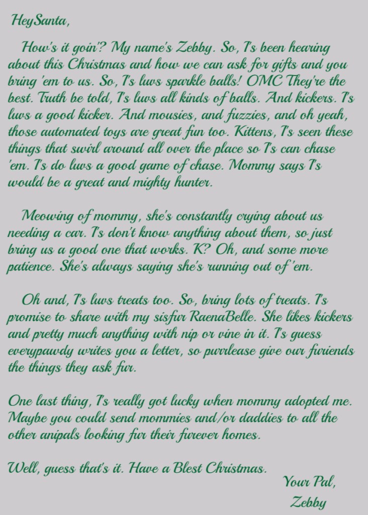 Zebby's 2021 Santa letter,