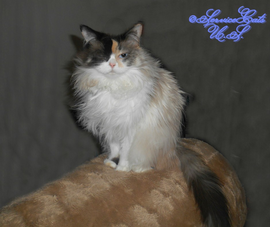 Raena sits pretty and winks