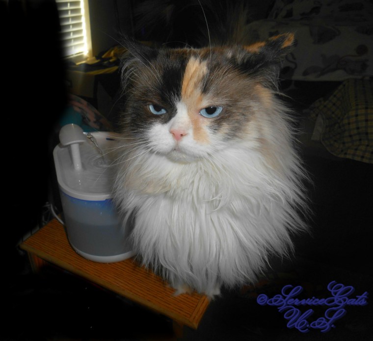 Raena poses with the Petlibro capsule drinking fountain