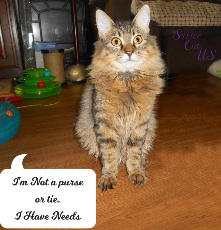 Zebby says I'm not a purse or tie. I have needs