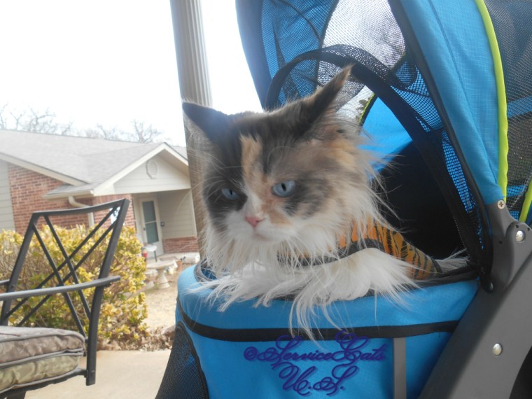 Raena sits in stroller