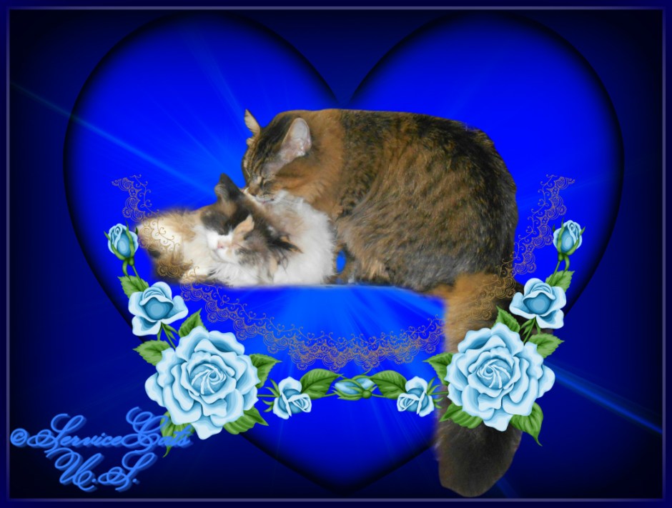 Zebby licks Raena in a heart frame surrounded by blue roses
