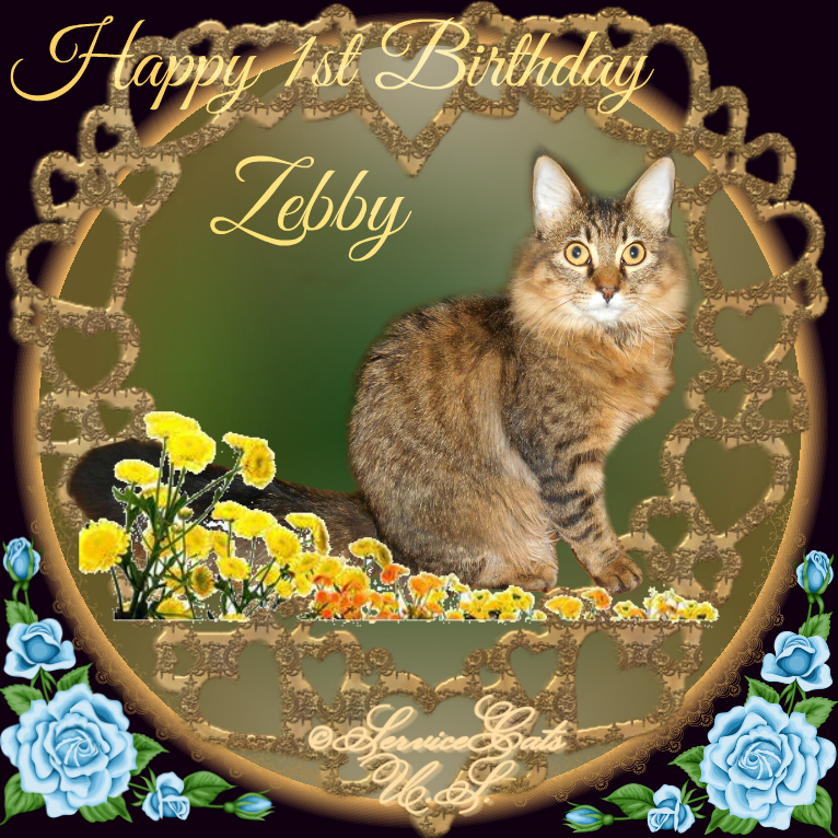 Zebby's first birthday card