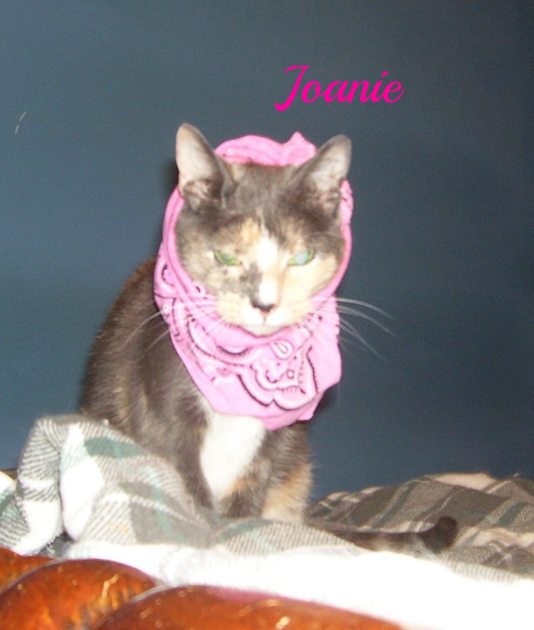 Joanie in bandana