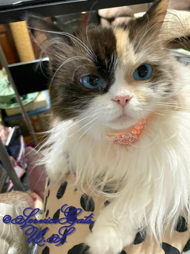 Raena wears her new pearl necklace while laying in mommy A's lap, selfie