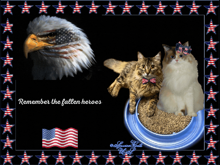Raena and Zebby animated Memorial day card 2022