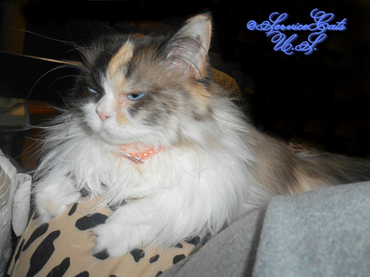 Raena gets lap loving from mommy A with her pearl necklace on