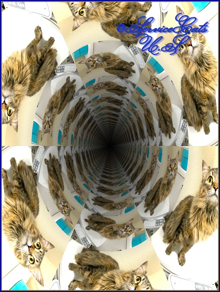 Zebby sitting on potty looking up with tunnel effect