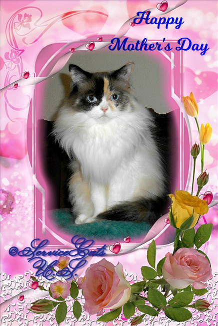 RaenaBelle in pink frame with peach roses