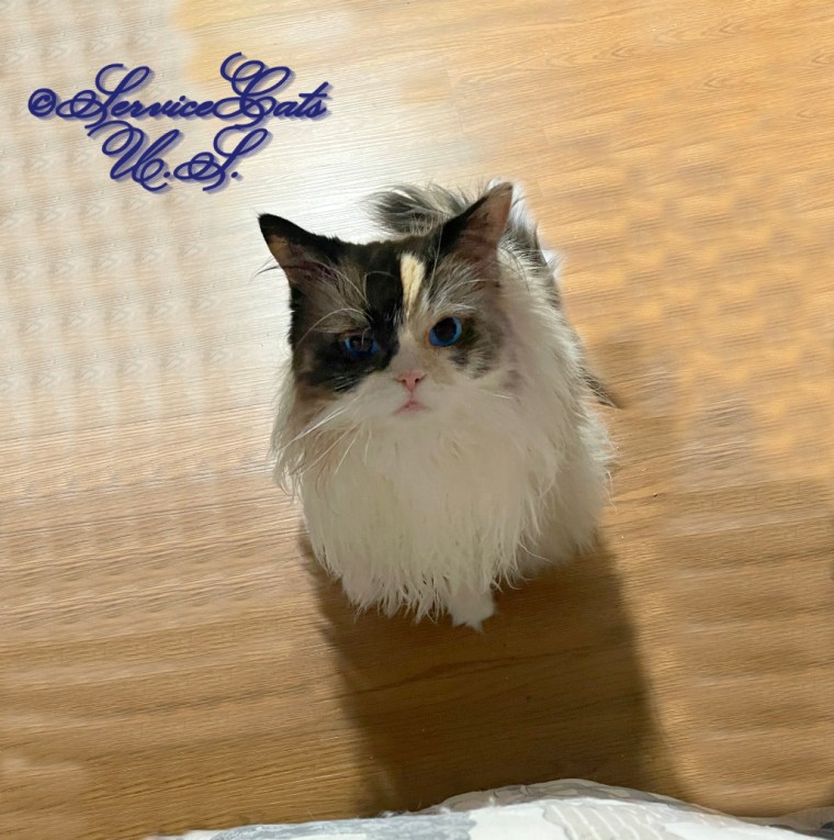 RaenaBelle sits pretty