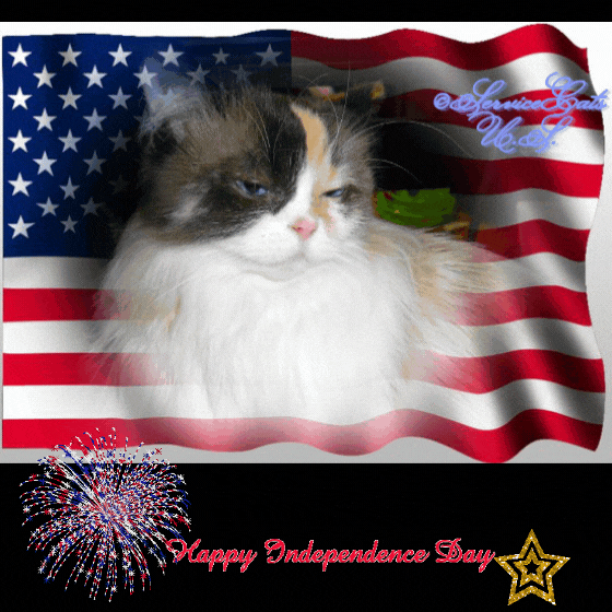 Raena in flag with fireworks frame