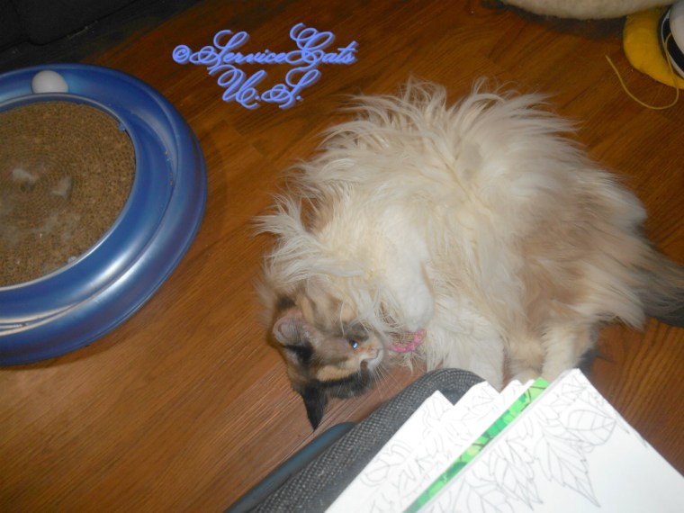 Raena plays with toast