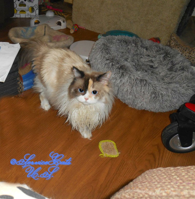 Raena walks towards the camera