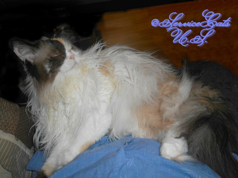 Raena naps in mommy's lap