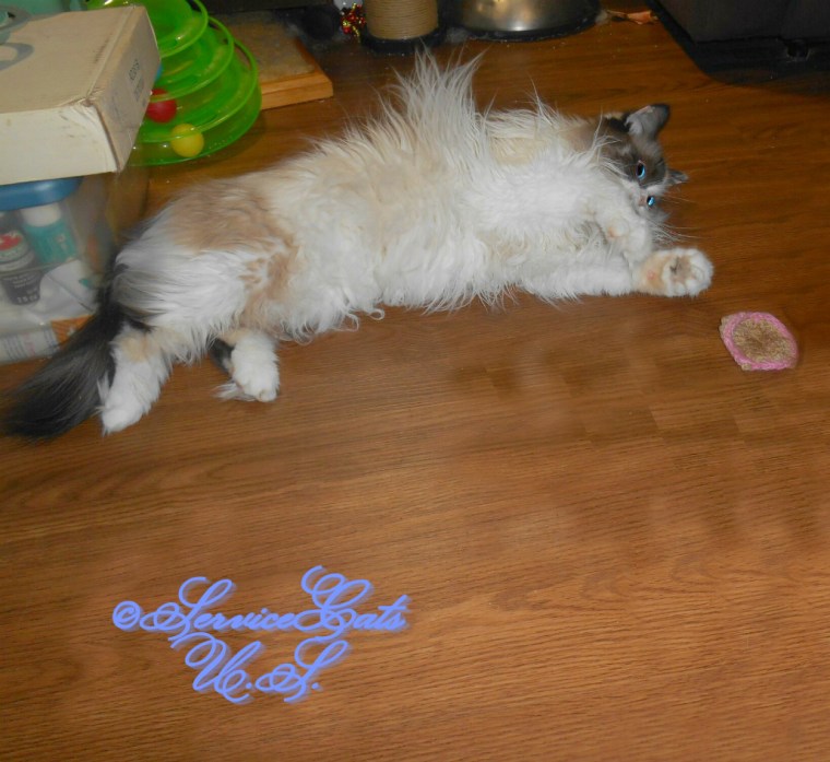 Raena plays with her silvervine toast