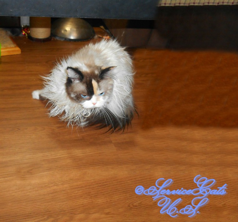 Raena crouches and plays