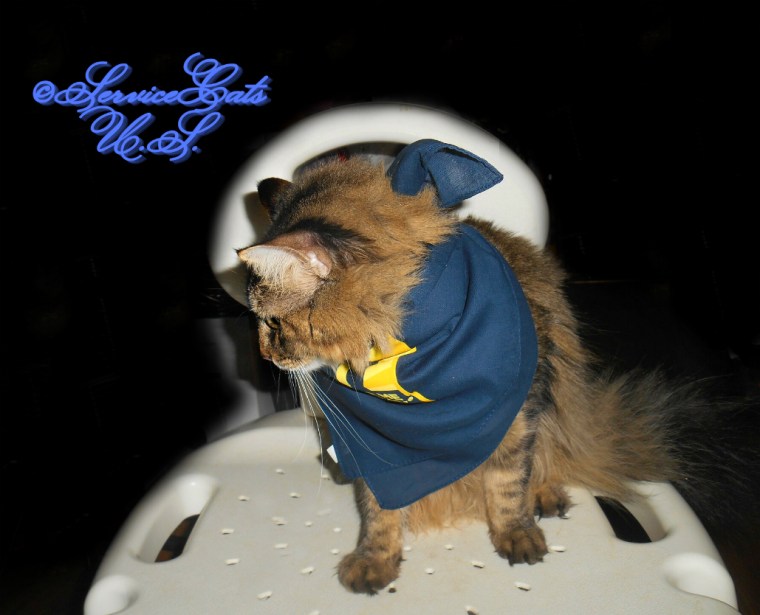 Zebby with Remember Me Thursday bandana