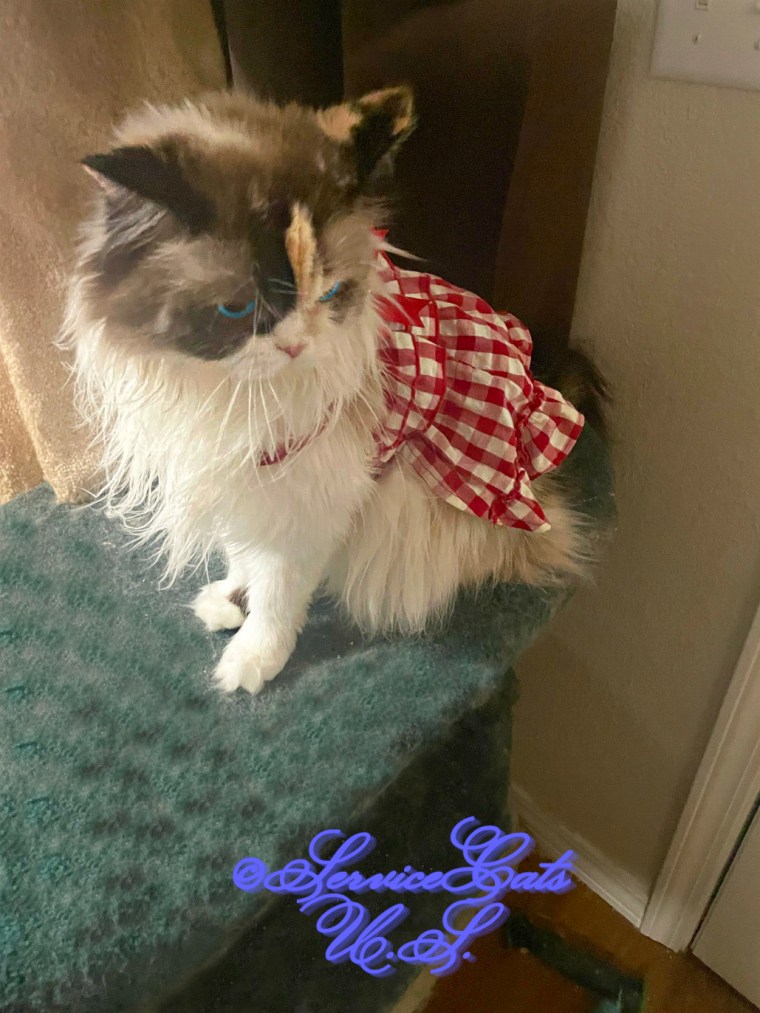 RaenaBelle poses in her red dress