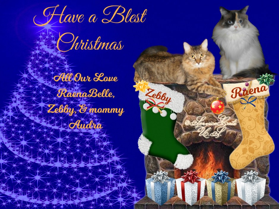 RaenaBelle and Zebby 2022 Christmas Card