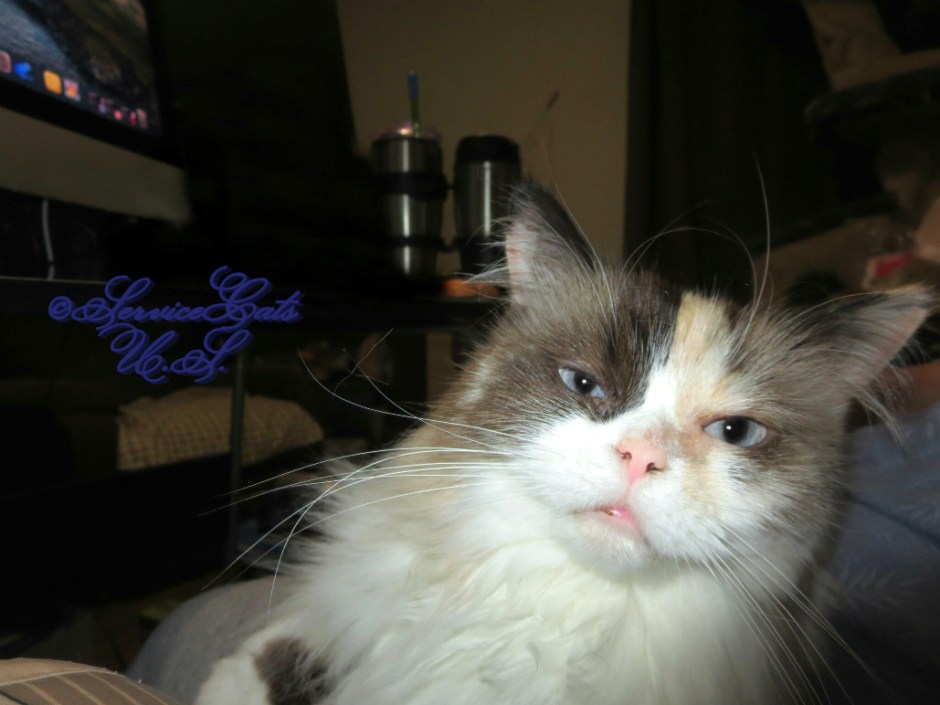 Raena's selfie from mommy A's lap